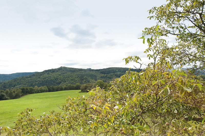 Bergoase Panorama-Apartments Sebnitz Eksteriør bilde